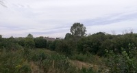 Kliknij by powiększyć
